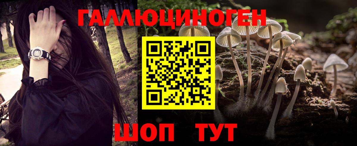 сколько стоит  Галлюциногенные грибы мухоморы  Вход с VPN  Саров  Галлюциногенные грибы ЛСД 